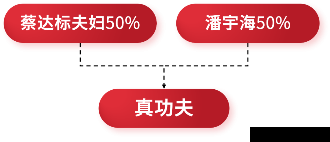 股权顶层设计:从一个股东到多个股东(图5) 股权顶层设计:从一个股东到多个股东(图5)