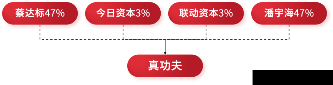 股权顶层设计:从一个股东到多个股东(图6) 股权顶层设计:从一个股东到多个股东(图6)